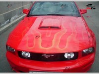 Ford Mustang - 2005